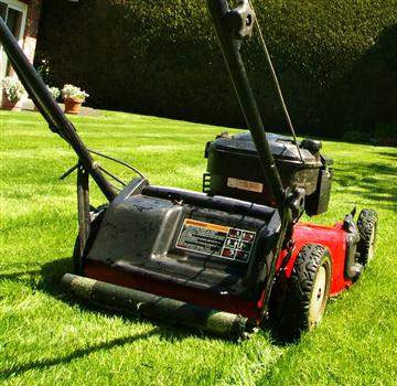 Gaippe Elagage pour la tonte de gazon et pelouse à Arras