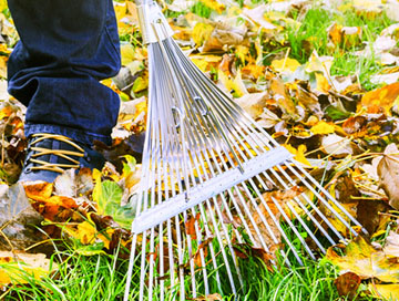 Gaippe Elagage s’occupe du ménage de printemps des jardins